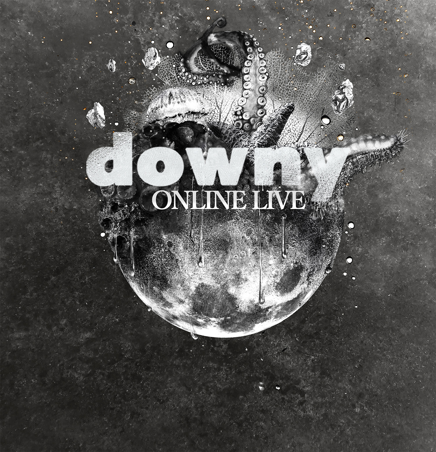 downy 7th Album release March 20th,2020 Special Site